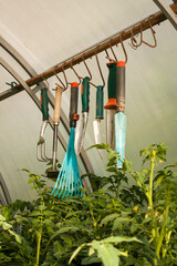 Garden Tools For Gardening In Greenhouse.