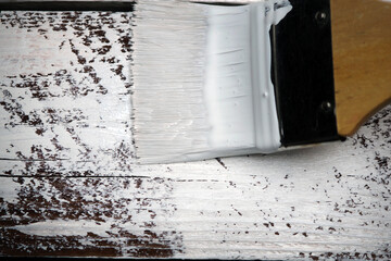 The process of painting wooden boards close up. The brush is dipped in white paint. Repair and handmade concept