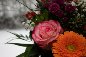 Closeup bouquet of colorful flowers, pink, purple, orange, in front of snowy background, selective focus, concept of birthday, valentines, mothers day