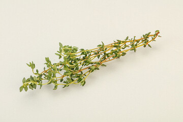 Aroma Fresh green thyme branch