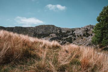 dunes in the mountains