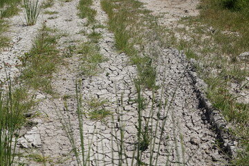 the trail around the Alikes Salt Lake in Tigaki, Kos Island, Greece, May