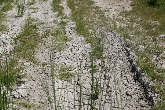 the trail around the Alikes Salt Lake in Tigaki, Kos Island, Greece, May