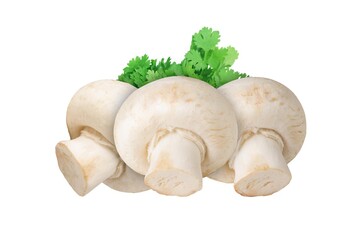 Champignon mushrooms isolated on white background