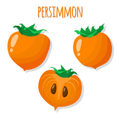 Vector set of persimmon. Half and a whole fruit. Illustration with fresh cartoon persimmon isolated on a white background