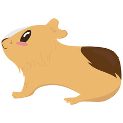 cute little tricolor guinea pig with a white stripe on the face, side view, cute domestic rodent, vector illustration