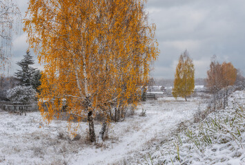 Autumn landscape with the first snow, yellow leaves and green grass not yet fallen from the birch. In the distance, you can see the village houses, boardwalk and greenhouses. Volumetric sky 