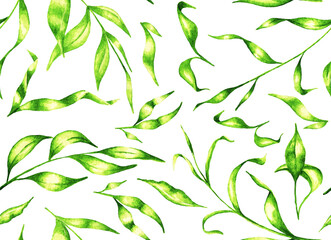 Leaves set. Seamless pattern. Watercolor