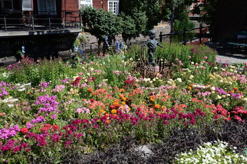 Fototapeta premium Blumen in Eksjö, Schweden