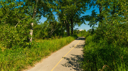 view of Prince's Island Park, Calgary, alberta, canada