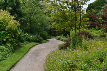 path in the garden