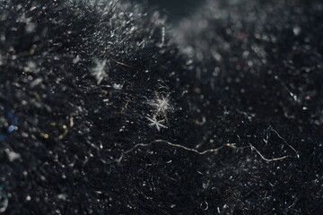 a snowflake on a black fallen tree. macro