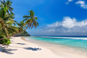 Fototapeta na wymiar Sunny white sand beach with coconut palm and turquoise sea. 