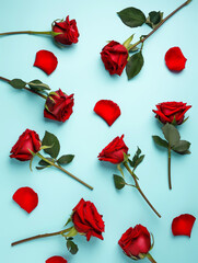 Spring floral layout made of red roses flowers and petals on pastel blue background. Minimal Valentines day, love or dating concept. Flat lay, top view.