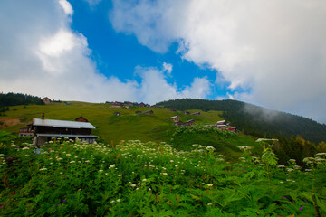 Kackar mountains and Kaçkar plateaus.