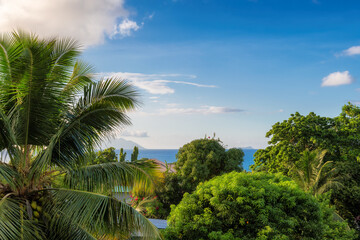 Fototapeta na wymiar Beautiful view of tropical trees and sea from tropical resort