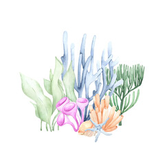 Colorful watercolor illustration of underwater plants. Perfect for printing, web, textile design, various souvenirs and other creative ideas.