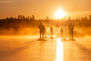 Silhouette of group of people doing SUP stand up paddle boarding at sunrise in lake. Early summer morning activity