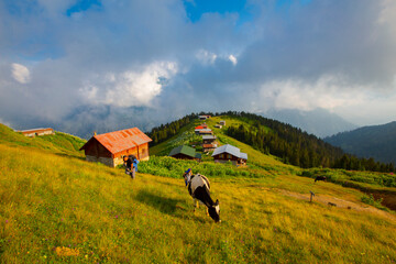 Kackar mountains and Kaçkar plateaus.
