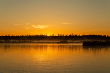 Fototapeta premium Sunrise panoramic view of the swamp in the early summer morning