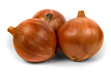Large onion bulbs on a white background. 