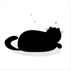 Cat lying on the carpet looking on the midge.