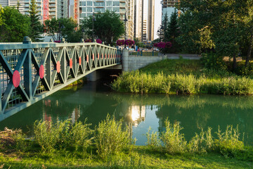 Naklejka premium view of Bow river floing inside Calgary, Alberta, Canada