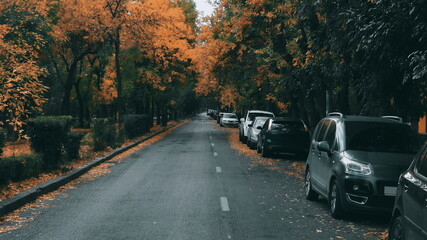 autumn street