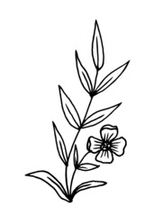 Branches with leaves and a flower hand-drawn in the style of doodle. Vector illustration. Suitable for postcards, weddings, icons, stickers. Isolated on white background.