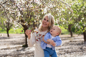 Mother with son in garden where almonds blooming. Boy sees such a garden for  first time, he is...