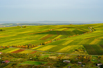 Fototapeta premium Blick von den Weinbergen bei Köhler auf die Volkacher Mainschleife und den Weinorten Escherndorf und Nordheim am Main an der Weininsel, Unterfanken, Bayern, Deutschland