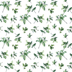 Fototapeta premium Watercolor illustration. Seamless pattern. Green leaves, branches on a white background. Design for cards, paper, weddings, invitations, scrapbooking, textiles, invitations, wrapping paper.