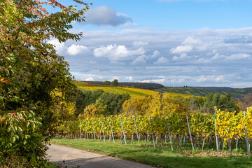 Abend am Main und der Mainebne zwischen Obereisenheim, Landkreis W&uuml;rzburg und Wipfeld, Landkreis Schweinfurt, Unterfranken, Bayern, Deutschland