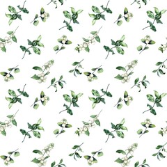 Watercolor illustration.  Seamless pattern.  Green leaves, branches and snowberry an white background.  Design for cards, weddings, invitations, scrapbooking, textiles, invitations, wrapping paper.