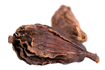 Black Cardamom Seed (Amomum Subulatum). Isolated on White.