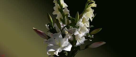 Impression bouquet de lys Zambési et glaïeuls White Prosperity
