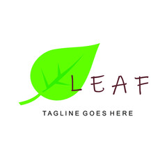 green leaf vector design image