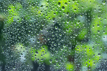 Rain drops on clear glass with green background from trees in nature.