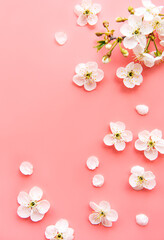 Obraz na płótnie Canvas Colorful Easter eggs with spring blossom flowers