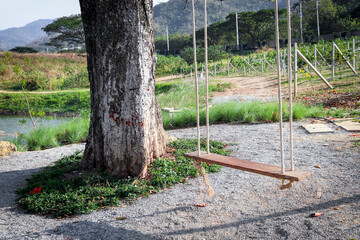 Fototapeta premium Wooden empty swing under the big tree beside sea beach nature background.