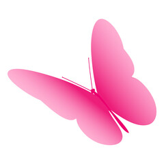 Pink butterfly. Vector illustration isolated on white background.