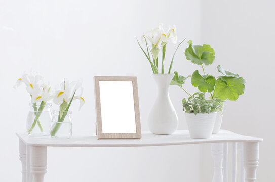 white frame, green plants  and spring flowers on shelf on white background
