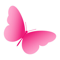 Pink butterfly. Vector illustration isolated on white background.