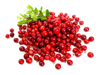 Small Cranberries on white Background Isolated
