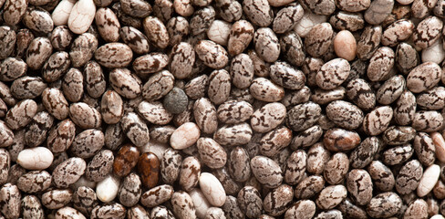 Chia seeds, a source of omega 3 acids. Texture.