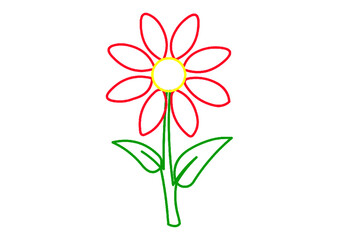Margherita fiore da colorare