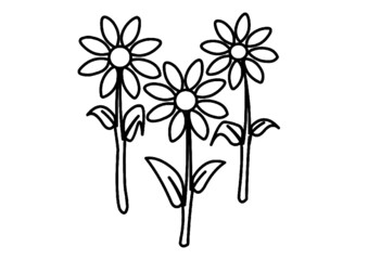 Fiori margherite da colorare