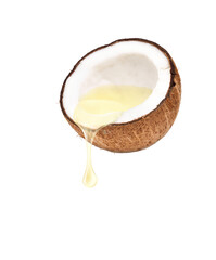 Coconut oil dripping from coconut fruits cut in half isolated on white background.