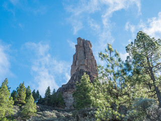 View of Roque Nublo rock formation in inland central mountains from famoust Gran Canaria hiking trail. Green pine trees and blue sky background. Canary Islands, Spain.