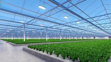 Big industrial greenhouse interior. Hydroponic indoor vegetable plant factory. Green salad farm. Concrete floor. 3D render